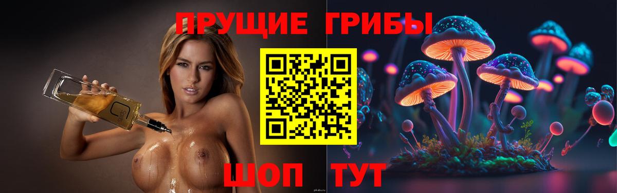 Псилоцибиновые грибы Cubensis Магадан